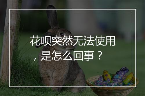 花呗突然无法使用，是怎么回事？