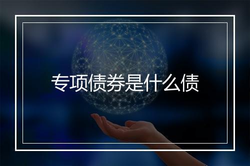 专项债券是什么债