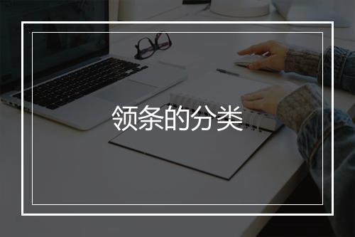 领条的分类