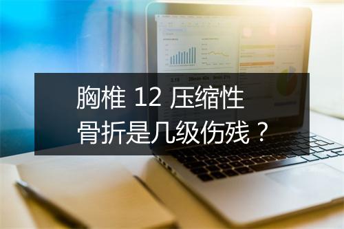 胸椎 12 压缩性骨折是几级伤残？