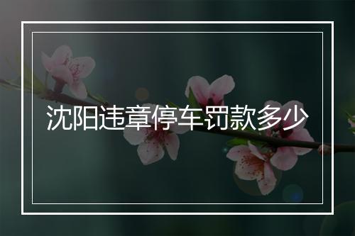 沈阳违章停车罚款多少