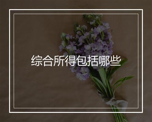 综合所得包括哪些
