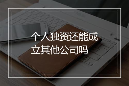 个人独资还能成立其他公司吗