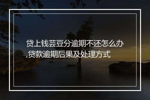 贷上钱芸豆分逾期不还怎么办,贷款逾期后果及处理方式