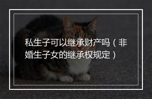 私生子可以继承财产吗（非婚生子女的继承权规定）