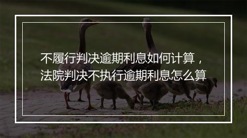 不履行判决逾期利息如何计算，法院判决不执行逾期利息怎么算
