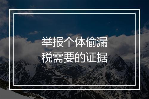 举报个体偷漏税需要的证据