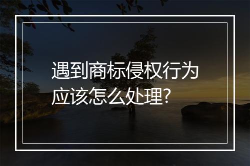 遇到商标侵权行为应该怎么处理?