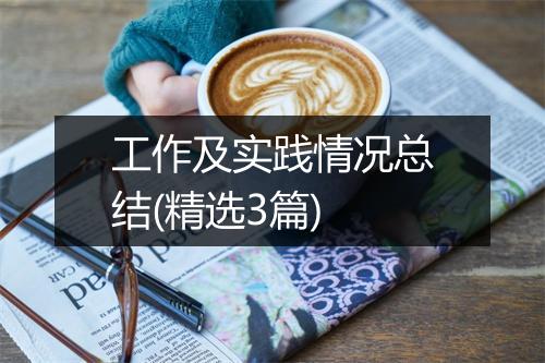 工作及实践情况总结(精选3篇)