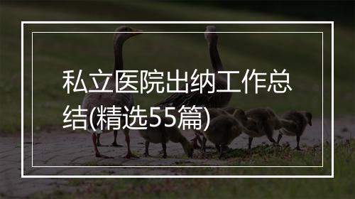 私立医院出纳工作总结(精选55篇)