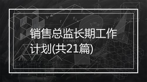 销售总监长期工作计划(共21篇)