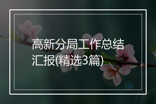 高新分局工作总结汇报(精选3篇)