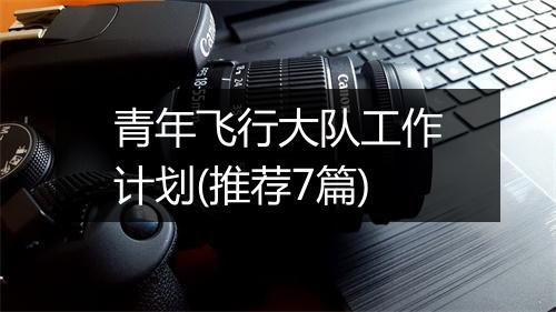 青年飞行大队工作计划(推荐7篇)