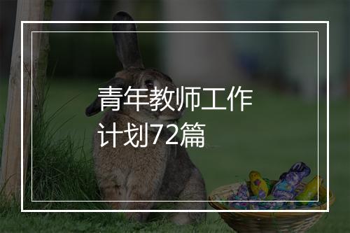 青年教师工作计划72篇