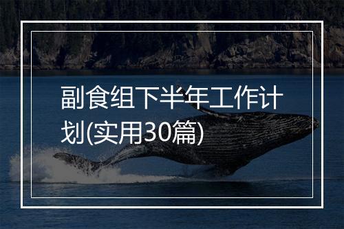 副食组下半年工作计划(实用30篇)