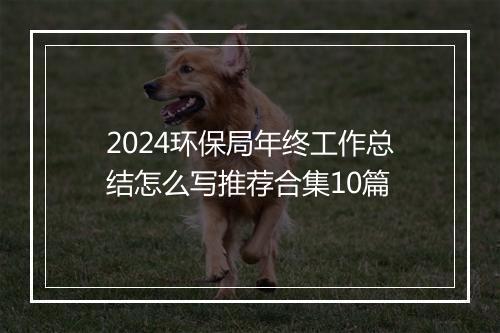 2024环保局年终工作总结怎么写推荐合集10篇