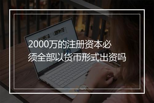2000万的注册资本必须全部以货币形式出资吗