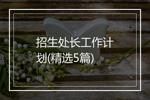 招生处长工作计划(精选5篇)