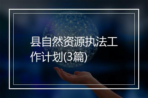 县自然资源执法工作计划(3篇)