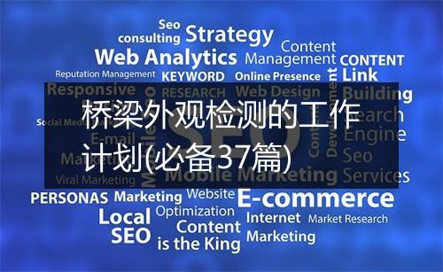 桥梁外观检测的工作计划(必备37篇)
