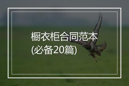 橱衣柜合同范本(必备20篇)