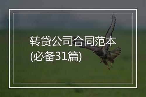 转贷公司合同范本(必备31篇)