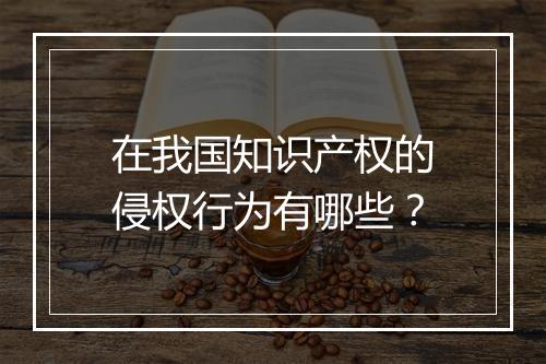 在我国知识产权的侵权行为有哪些？