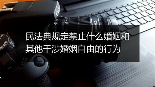 民法典规定禁止什么婚姻和其他干涉婚姻自由的行为