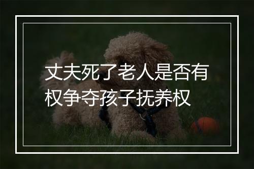 丈夫死了老人是否有权争夺孩子抚养权