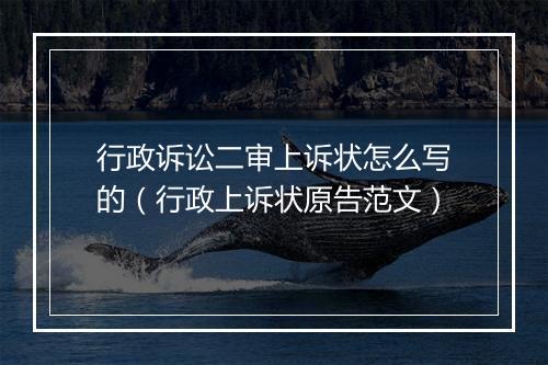 行政诉讼二审上诉状怎么写的（行政上诉状原告范文）