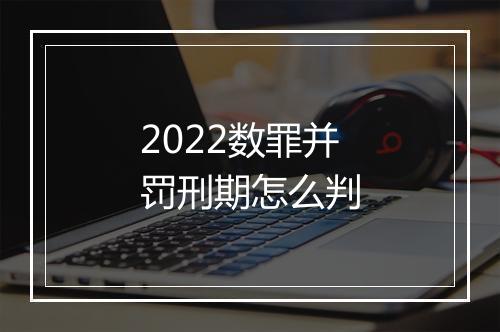 2022数罪并罚刑期怎么判
