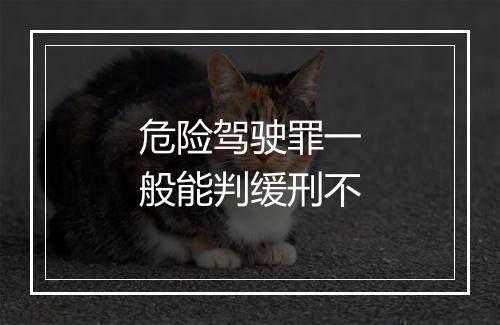 危险驾驶罪一般能判缓刑不
