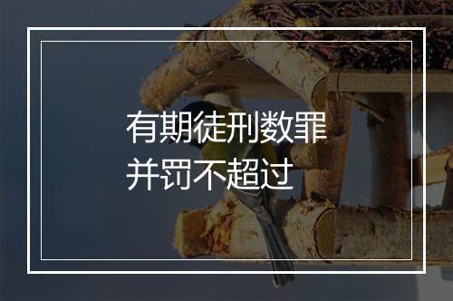 有期徒刑数罪并罚不超过