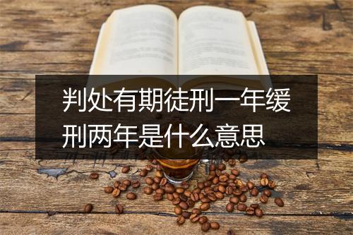 判处有期徒刑一年缓刑两年是什么意思
