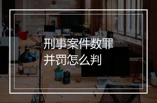 刑事案件数罪并罚怎么判