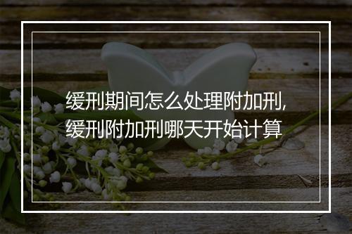 缓刑期间怎么处理附加刑,缓刑附加刑哪天开始计算
