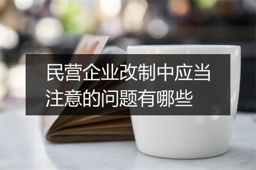 民营企业改制中应当注意的问题有哪些