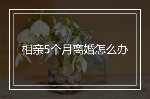 相亲5个月离婚怎么办