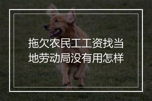 拖欠农民工工资找当地劳动局没有用怎样