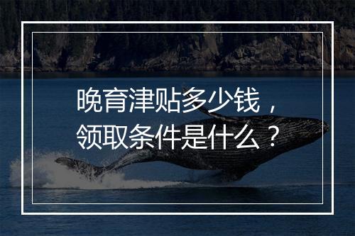 晚育津贴多少钱，领取条件是什么？
