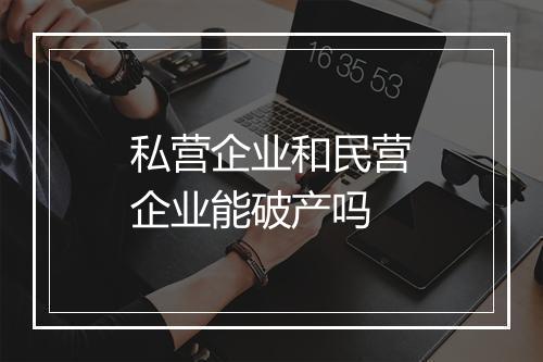 私营企业和民营企业能破产吗