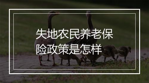 失地农民养老保险政策是怎样
