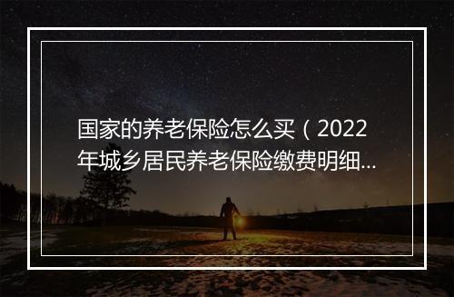 国家的养老保险怎么买（2022年城乡居民养老保险缴费明细）