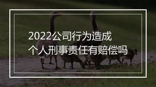 2022公司行为造成个人刑事责任有赔偿吗