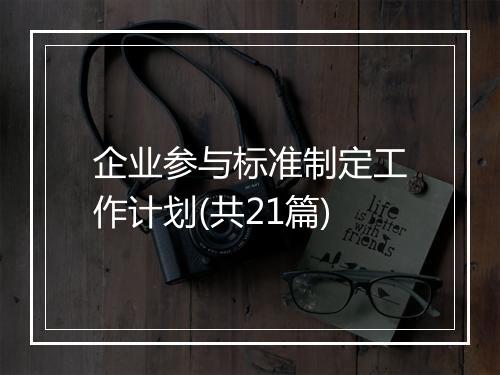 企业参与标准制定工作计划(共21篇)