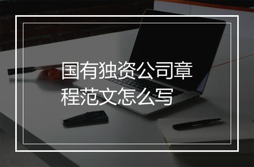 国有独资公司章程范文怎么写