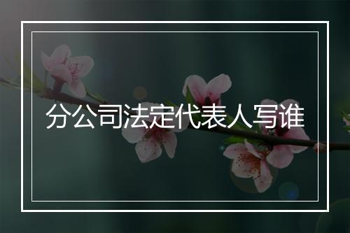 分公司法定代表人写谁