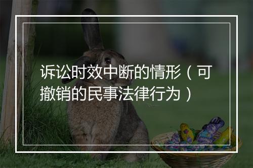 诉讼时效中断的情形（可撤销的民事法律行为）