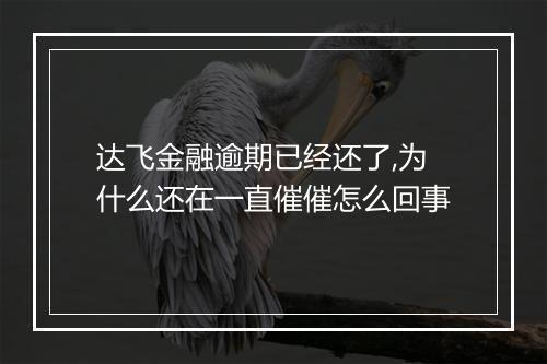 达飞金融逾期已经还了,为什么还在一直催催怎么回事