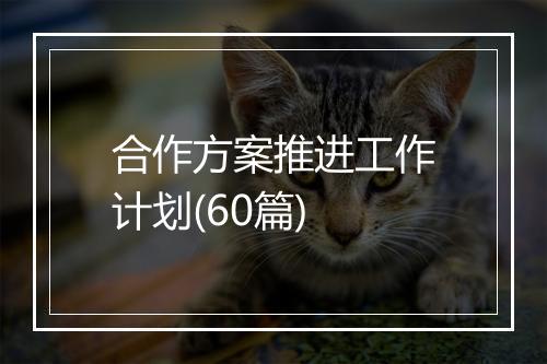 合作方案推进工作计划(60篇)